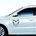 Ecosin Car Rules Decal Slammed Reflective Skull Car Truck Sticker JDM Racing Window Decal Funny Car Sticker (Black)