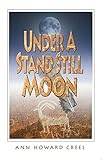 Under A Stand Still Moon