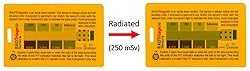 RADTriage Model50 Dosimeter & Self-indicating