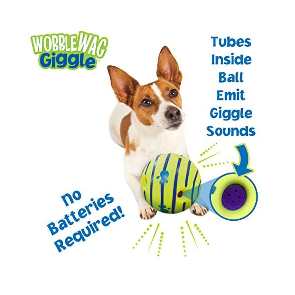 giggle ball dog toy