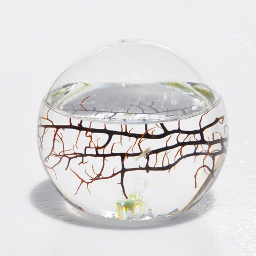 EcoSphere Closed Aquatic Ecosystem, Sphere Pet Supplies, Aquatics Gift Guide