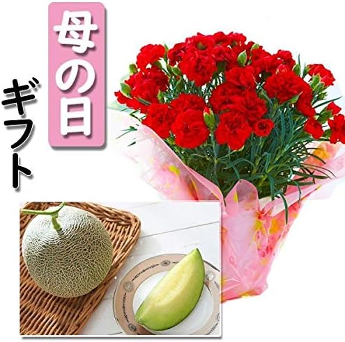 Amazon カーネーション 赤色 1鉢 高級肥後グリーンメロン1玉 豪華詰合せセット 母の日 フルーツ 花 ギフト 5月8日から10日にお届け予定 ギフト広場 メロン 通販 Amazon カーネーション 赤色 1鉢 高級肥後グリーンメロン1玉 豪華詰合せセット 母の日 フルーツ 花 ギフト 5月8日から10日にお届け予定 ギフト広場 メロン 通販
