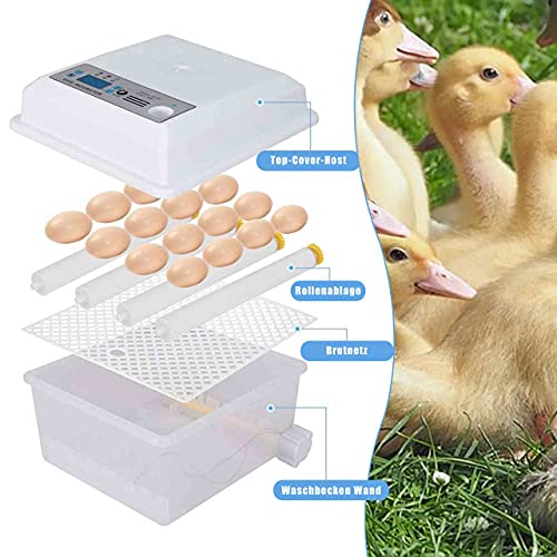 Inkubator Vollautomatisch Brutmaschine 16 Eier, Mit LED Temperaturanzeige Und Automatischer Eierbrutkasten, Für Hühner… – Bild 2