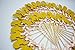 KWJOY 40 Pieces Carousel Horse Theme Gold Glitter Cupcake Toppers And Kids Birthday Party Picks Decoration Supplies/Pink Bow