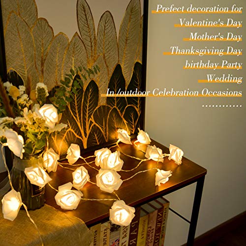 LOLStar Valentine\'s Day String Lights 10FT 20 LED Rose Flower LED Lights Battery Operated for Wedding Party Birthday Girl\'s Bedroom Indoor Decorations Large Rose Diameter 2.7inch (White)