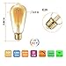 Vintage Edison Dimmable LED Light Bulbs, Palawell 7W (70 Watt Equivalent) Antique Amber Gold Filament Light Bulb, Warm Color 2400K - 30,000 Life Hours - 500 Lumens - ST64 E26 Base - UL Listed (4-Pack)
