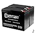 Mighty Max Battery ML10-12 - 12V 10AH Schwinn S350, S-350 Scooter Battery - 2 Pack