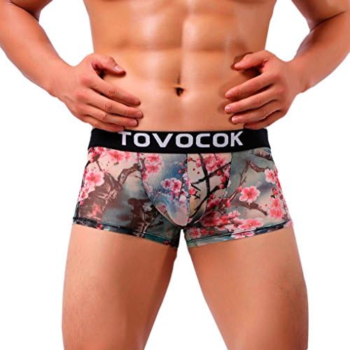 AEByuan Mens Sexy Printed Underwear Shorts Men Boxers Underpants Soft Briefs (L)