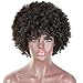 AISI HAIR Curly Wig Short Afro Kinkys Curly Hair Wig Natural Black Short Curly Wig African American Wigs Curly Afro Wig for Black Women