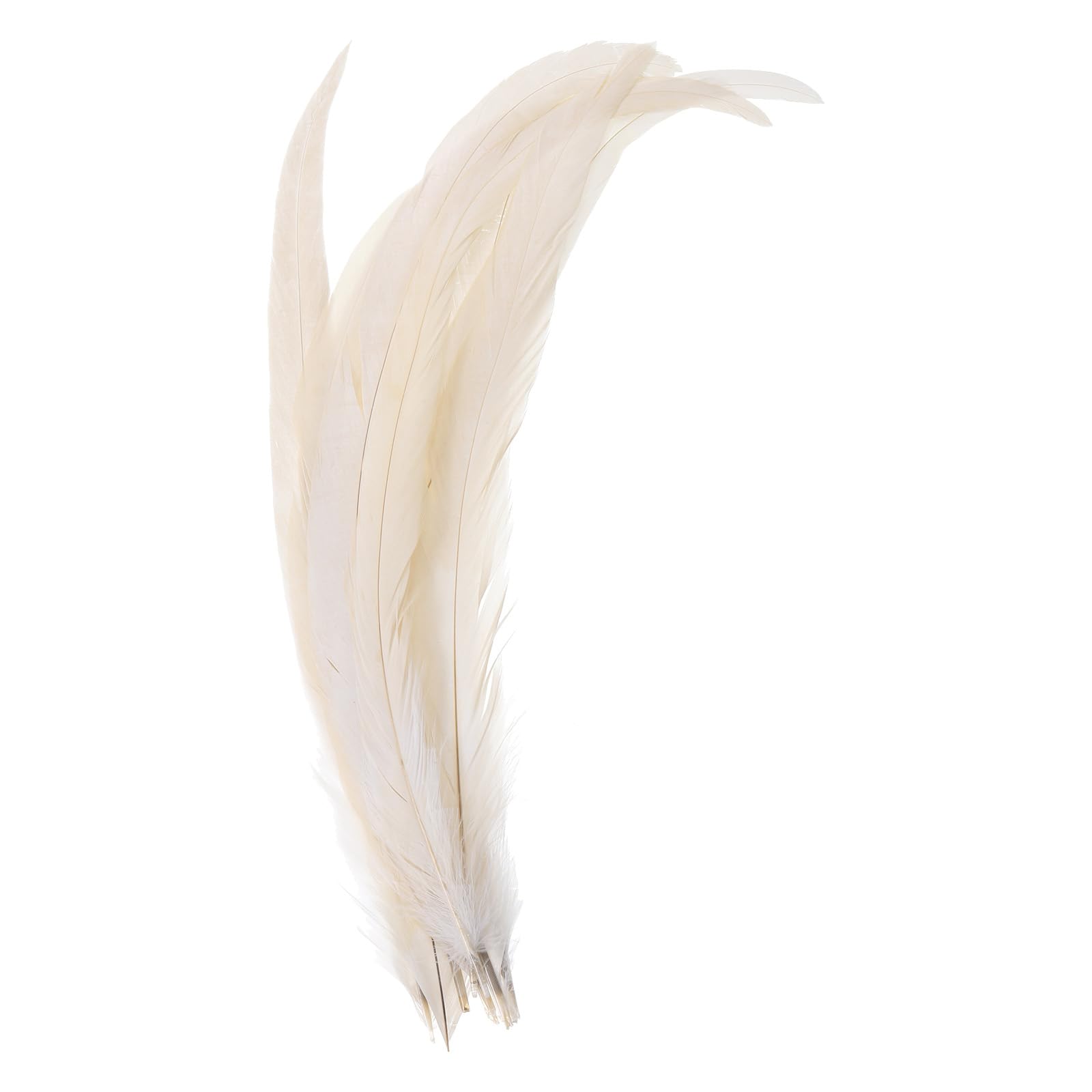PATIKIL 14-16 Inch Rooster Feathers, 20 Pack Bulk Natural Feathers for Crafts Carnival Handwork Clothing Costumes Wedding Party Style 1, White