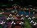 Doingart Outdoor Solar Garden Lights - 2 Pack Solar Powered Lights, Multi-Color Changing LED Solar Stake Lights for Garden, Patio, Backyard (Tulip and Morning Glory Flower)
