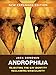 Androphilia