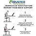 Trusted XL Back Lumbar Support Pillow - Won't Flatten 100% Pure Memory Foam - Posture Cushion Pain Relief for Office, Car, Home, Travel - Removable Attach Anywhere Extendable Straps (Gray)