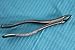Set of 5 Premium Dental Extracting Extraction Forceps NO150 151 23 88L and 217 Extraction Instruments Germany Stainless Steel