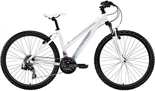 ladies 14 inch frame bike