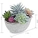 MyGift 7-Inch Assorted Artificial Succulent Plants in Rustic Textured Pulp Pot