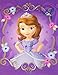 Disney Sofia the First Folder 2 Pack ~ Real Life Princess, Princess From Within