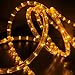 WYZworks 576LEDs, 50ft LED Outside Rope Lights, Waterproof Permanent Outdoor ETL Certified Connectable Clear Tube, Christmas Palm Tree Holiday Decorative Landscape Patio Accent Lighting - Orange