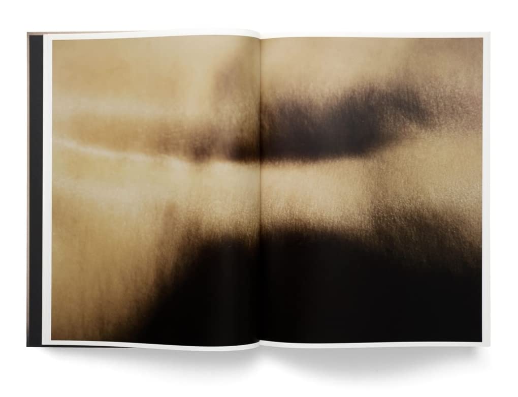 David Lynch: Digital Nudes David Lynch: Digital Nudes Hardcover