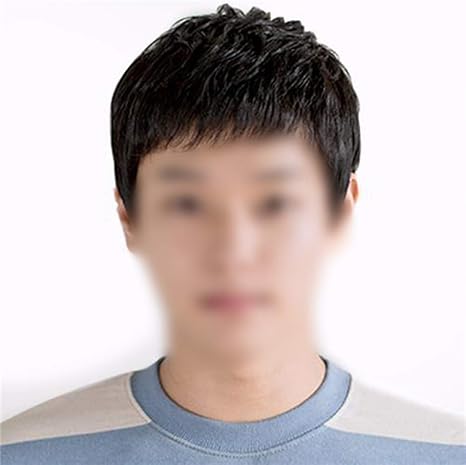 Amazon Co Jp Ssy Yu 自然 メンズ手織り実髪ボーイズショートヘアハンサムな現実的なビジネスウィッグ カラー ナチュラル黒 ロングストレート ホーム キッチン
