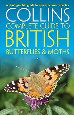 Images Of Common British Moths