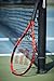 Wilson Federer Adult Strung Tennis Racket