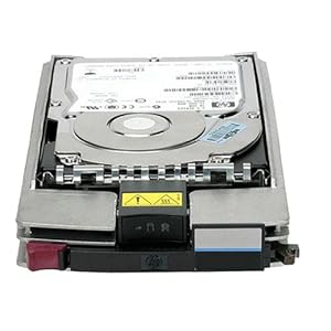 HP EVA M6412A 300GB 15K Fibre Channel Hard Disk Drive
