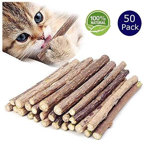 kitten dental chews