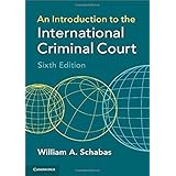 An Introduction to the International Criminal Court
