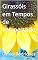 Livro Girassóis em Tempos de Tempestade