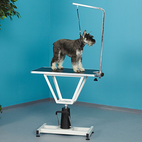 Master Equipment PetEdge Value Lift Hydraulic Grooming Table FootOperated Lift Table Supports