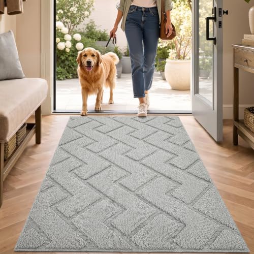 Biscpro Fußmatte Innen Außen Waschbar eingangsteppich innen Schmutzfangmatte rutschfest,Türmatte Innen Teppich für Eingang, Patio, Flur, Garten, Innen