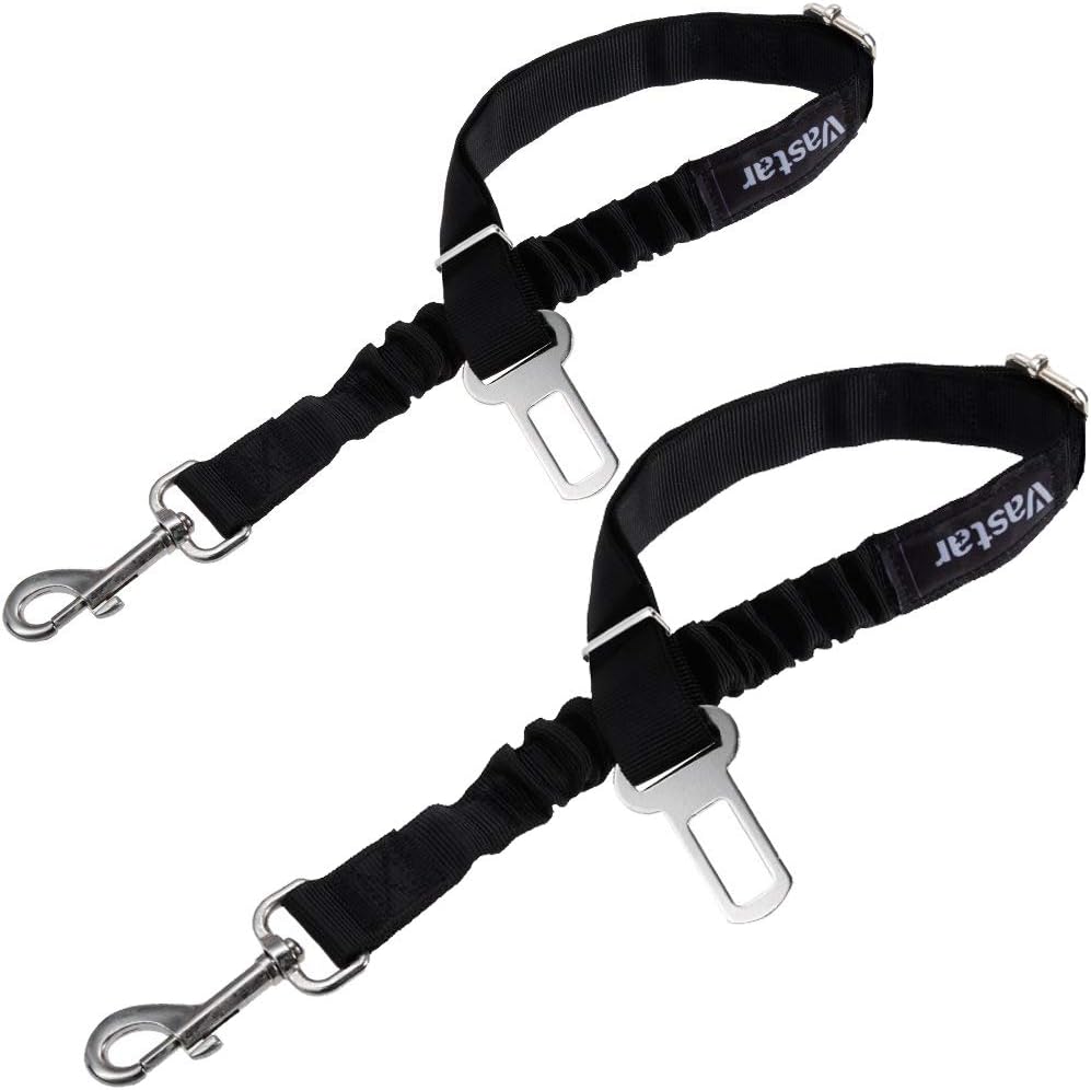 Best small dpg car seat