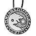 Paw Paw House Mens Wolf Head Necklace Pendant for Dog Lover Men Norse Viking Warrior Arrow Headed Amulet Jewelry (4008)