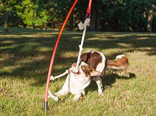 Tether Tug Interactive Dog Rope Toy (X-Large)