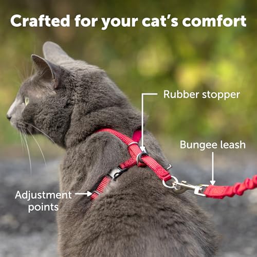 PetSafe Come with Me Kitty Harness and Bungee Leash, Medium, Red