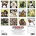 Just Poodles 2019 Wall Calendar (Dog Breed Calendar)