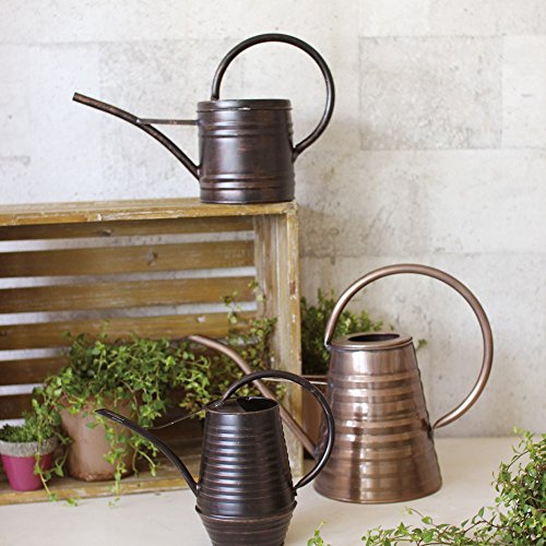 Time Concept Classical Metal Antique Style Watering Can - 1 Liter