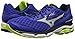 Mizuno Men's Wave Inspire 12 Running Shoe, Surf The Web/Silver, 10 D US