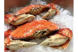 GIOVANNIS FISH MARKET FRESH Cooked DUNGENESS CRABS (3 Large Crabs)