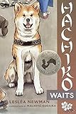 Paperback Hachiko Waits Book