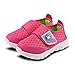 Baby Sneaker Shoes for Girls Boy Kids Breathable Mesh Light Weight Athletic Running Walking Casual Shoes(4 M US Toddler,Pink,19)