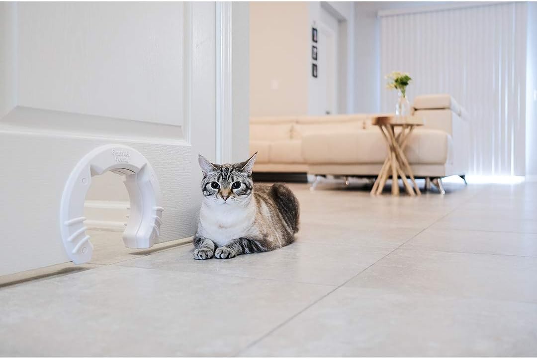 Cat Door Built In Interior Pet Door for Small, Medium, & Large Cats - Cat Doors for Interior Doors - Hole Pass Fits Indoor Hollow Core or Solid Inside Doors - Hidden Kitty Litter Box Cat Furniture : Pet Supplies
