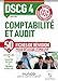 Comptabilité et audit DSCG 4 : Fiches de révision by