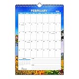 TOWWI Monthly Wall Calendar, January 2019-February 2020 Desk Calendar, 12” x 17” Wirebound Calendar for School Home Office (12x17)