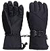 D Diana Dickson Mens Winter Sportswear Waterproof Thinsulate Insulated Touchscreen Ski Gloves,Black,L