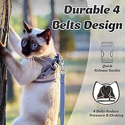 Supet Cat Harness and Leash Set for Walking and
