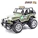 CISAY Rc Cars,6062 Remote Control Car,1/18 Scale 15km/h,2.4Ghz 2WD Convertible Buggy,with Car Light and 2 Rechargeable Batteries,Give The Child Best The Gift (Camouflage)