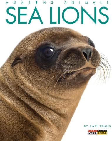 Amazing Animals: Sea Lions