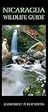 Nicaragua Wildlife Guide (Laminated Foldout Pocket Field Guide) (English and Spanish Edition) by 